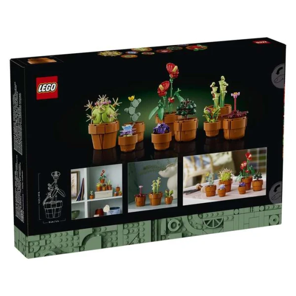 LEGO Botanicals 10329 – zadna strana na kutijata