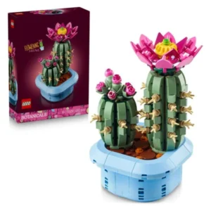 LEGO Botanicals 11509 – kutija i dva sostaveni kaktusa