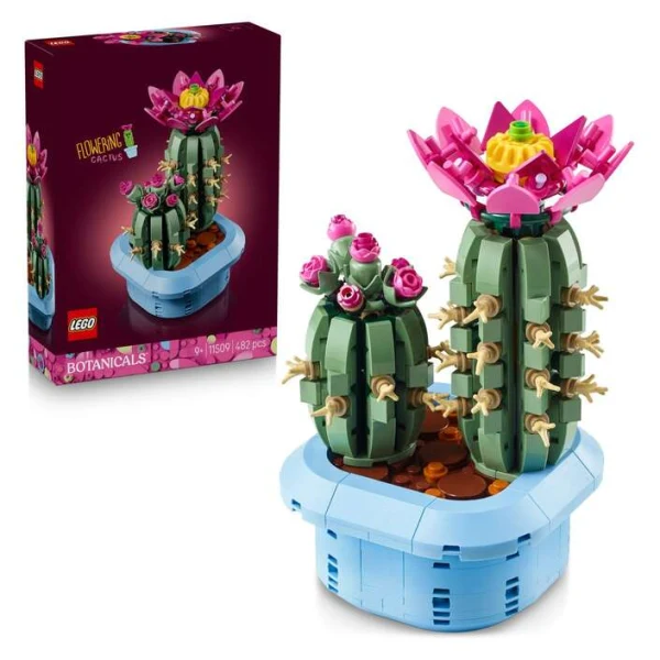 LEGO Botanicals 11509 – kutija i dva sostaveni kaktusa