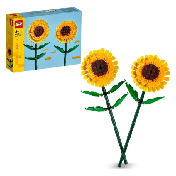 LEGO Botanicals 40524 – kutijata i sostavenite sonchogledi